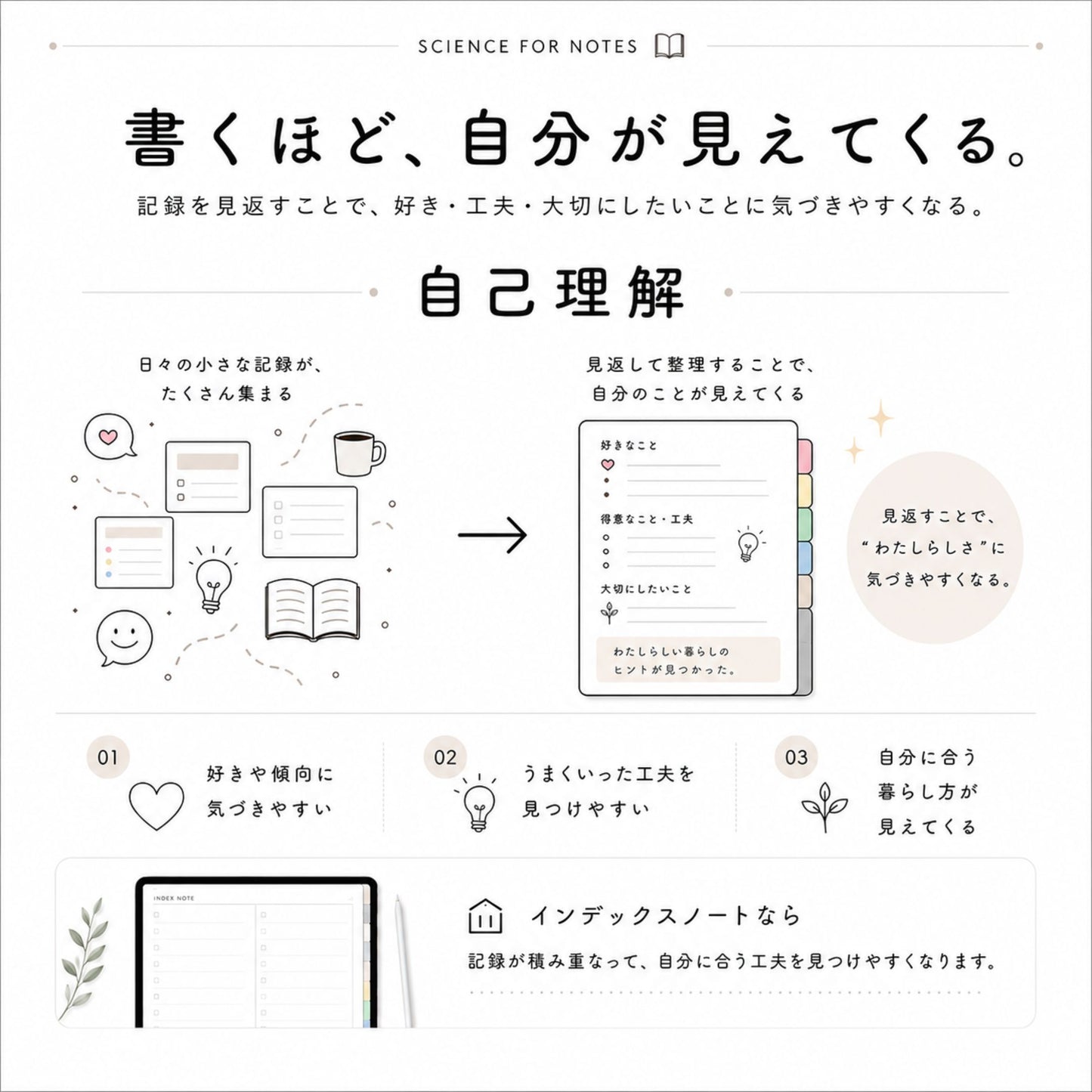 [Set discount] Index notebook